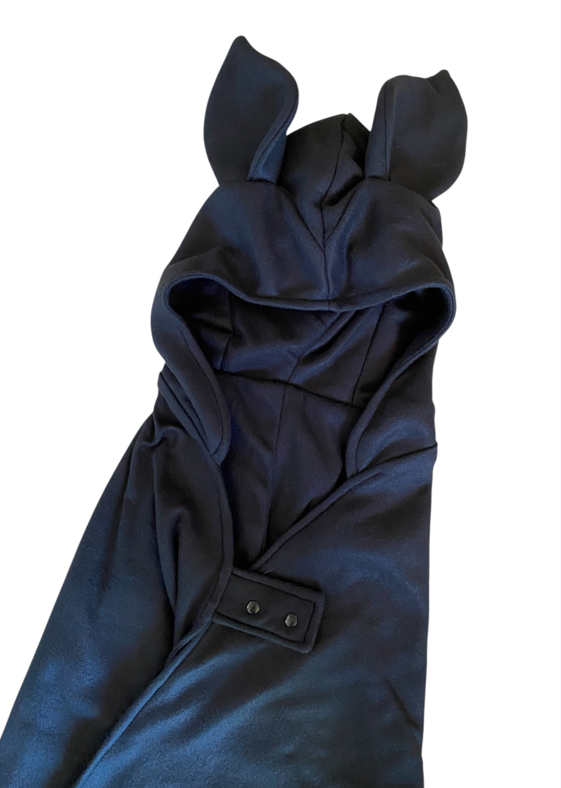 hood with bat ears