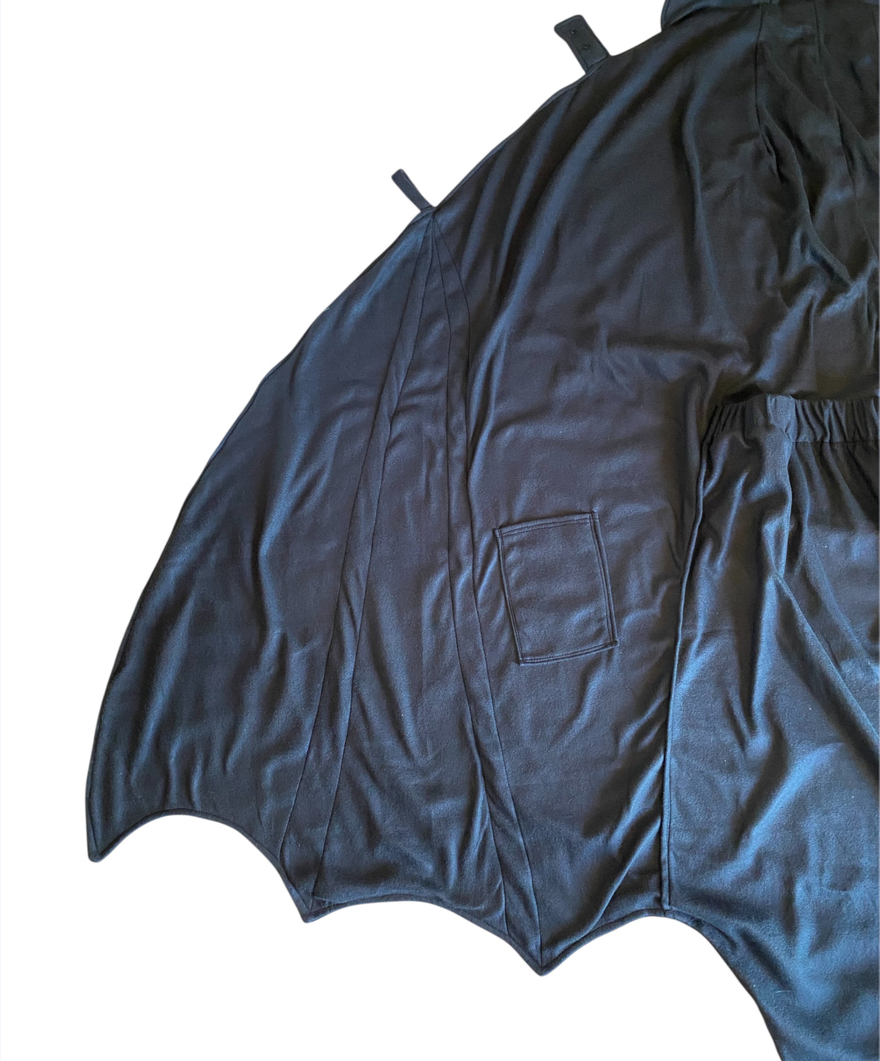 bat wings with pocket on white background