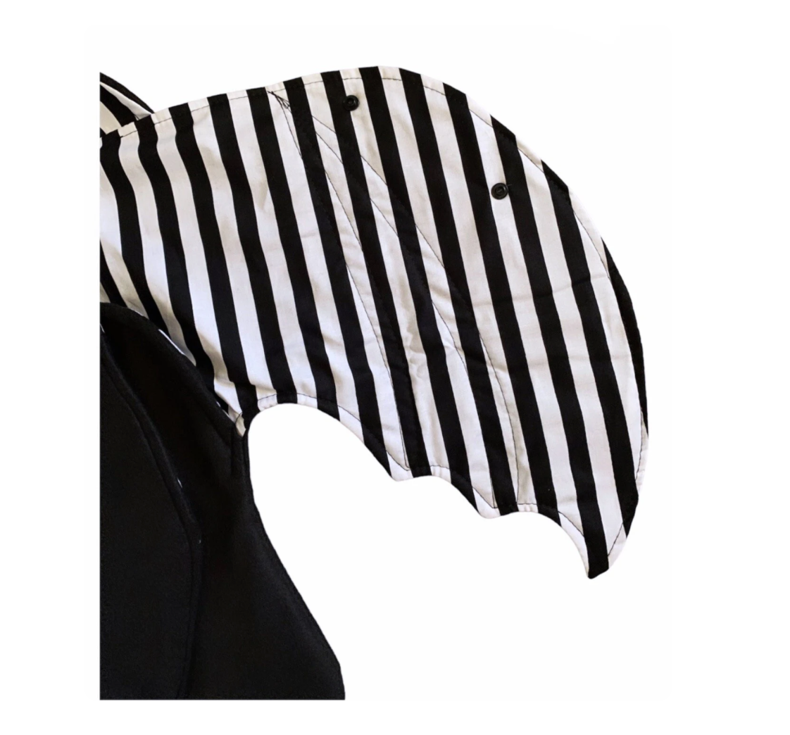 Black and white striped bat wing against a white background